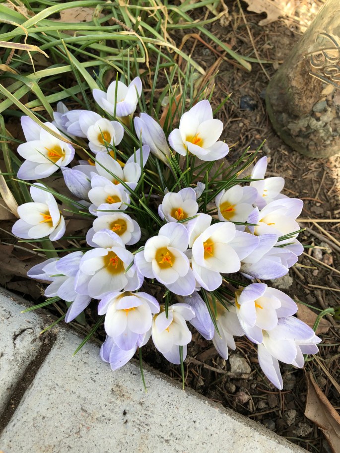 A3A89FF0-C8D4-4D4A-87E6-4D19E4CCB3BE